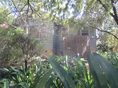 Photograph - 31 Boisdale Street, Surrey Hills, The Street Where You Live Project