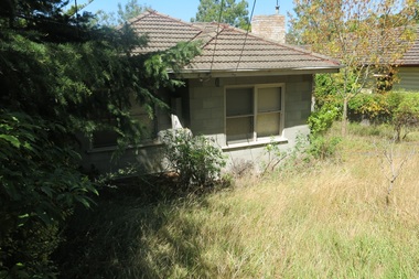 Photograph - 32 Boisdale Street, Surrey Hills, The Street Where You Live Project