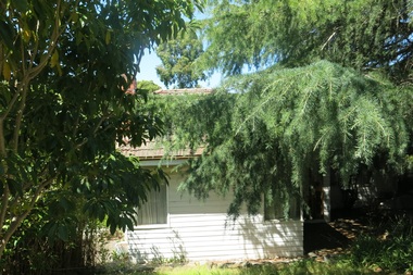 Photograph - 34 Boisdale Street, Surrey Hills, The Street Where You Live Project