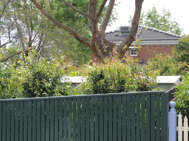 Photograph - 39 Florence Road, Surrey Hills, The Street Where You Live Project