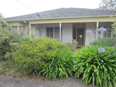 Photograph - 21 Chestnut Street, Surrey Hills, The Street Where You Live Project