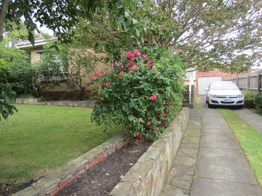Photograph - 24 Chestnut Street, Surrey Hills, The Street Where You Live Project