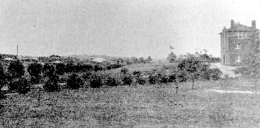Photograph - Mont Albert Primary School, 1926