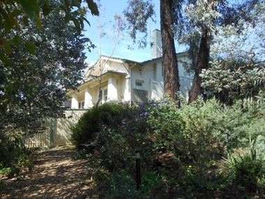 Photograph - 11 Carlyle Crescent, Mont Albert, The Street Where You Live Project