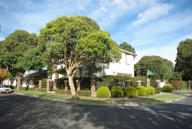 Photograph - 8 Como Avenue, Surrey Hills, The Street Where You Live Project