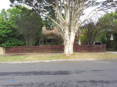 Photograph - 8 Everton Grove, Surrey Hills, The Street Where You Live Project