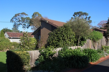 Photograph - 19 Elm Street, Surrey Hills, The Street Where You Live Project