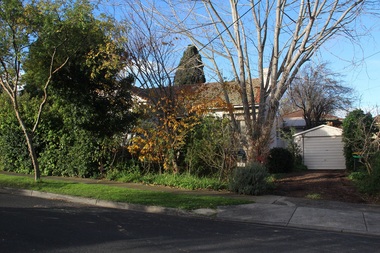 Photograph - 24 Elm Street, Surrey Hills, The Street Where You Live Project