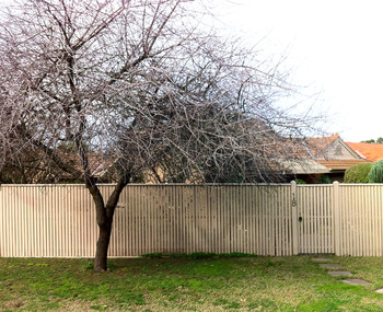 Photograph - 18 Chatham Road, Canterbury, The Street Where You Live Project