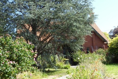 Photograph - 12 Zetland Road, Mont Albert, The Street Where You Live Project