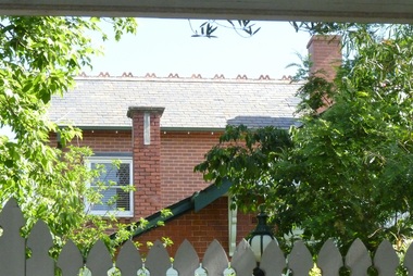 Photograph - 14 Zetland Road, Surrey Hills, The Street Where You Live Project