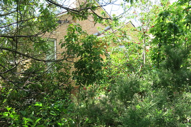 Photograph - 931 Riversdale Road, Surrey Hills, The Street Where You Live Project