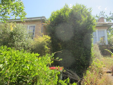 Photograph - 2 Glendale Street, Surrey Hills, The Street Where You Live Project