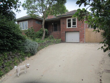 Photograph - 9 Erasmus Street, Surrey Hills, The Street Where You Live Project