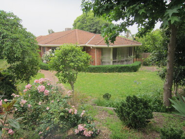 Photograph - 16 Erasmus Street, Surrey Hills, The Street Where You Live Project