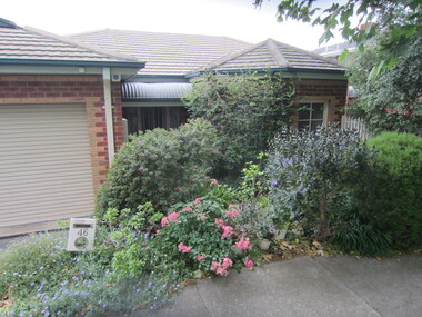 Photograph - 46 Erasmus Street, Surrey Hills, The Street Where You Live Project