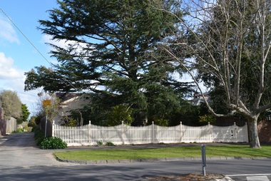 Photograph - 20 Kent Road, Surrey Hills, The Street Where You Live Project