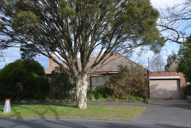 Photograph - 30 Kent Road, Surrey Hills, The Street Where You Live Project