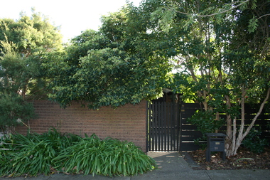 Photograph - 26 Kennealy Street, Surrey Hills, The Street Where You Live Project