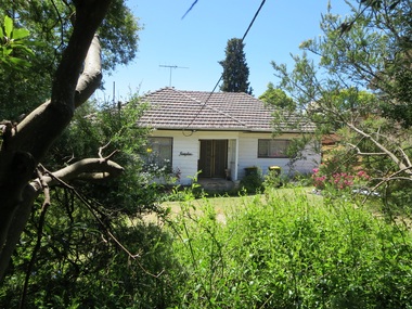 Photograph - 1 Scottsdale Street, Surrey Hills, The Street Where You Live Project