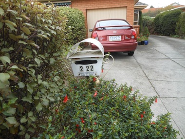 Photograph - 22 Langford Street, Surrey Hills, The Street Where You Live Project