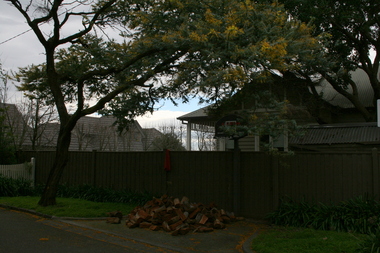 Photograph - 24 Redvers Street, Surrey Hills, The Street Where You Live Project