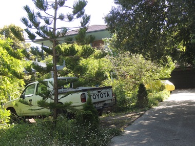 Photograph - 7 Rostrevor Parade, Mont Albert, The Street Where You Live Project