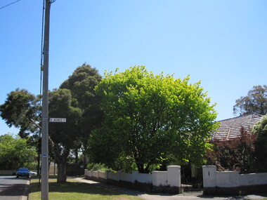 Photograph - 16 Rowland Street, Mont Albert, The Street Where You Live Project