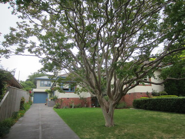 Photograph - 6A Rosemont Street, Surrey Hills, The Street Where You Live Project