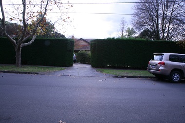 Photograph - 17 Trafalgar Street, Mont Albert, The Street Where You Live Project
