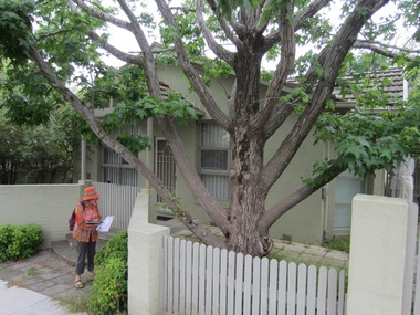 Photograph - 2 Drewett Street, Surrey Hills, The Street Where You Live Project