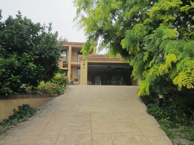Photograph - 17 Harding Street, Surrey Hills, The Street Where You Live Project