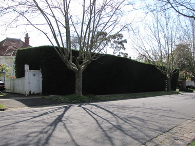 Photograph - 9 Tower Street, Surrey Hills, The Street Where You Live Project