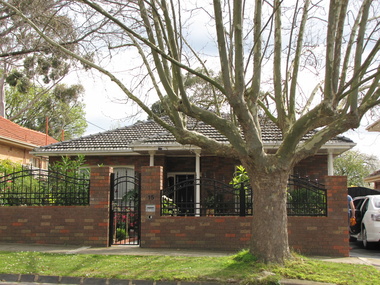 Photograph - 15 Tower Street, Surrey Hills, The Street Where You Live Project