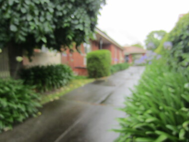 Photograph - 7 Lambourne Street, Surrey Hills, The Street Where You Live Project