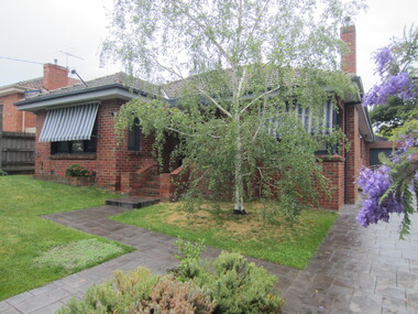 Photograph - 15 Lambourne Street, Surrey Hills, The Street Where You Live Project