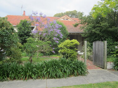 Photograph - 9 Vincent Street, Surrey Hills, The Street Where You Live Project