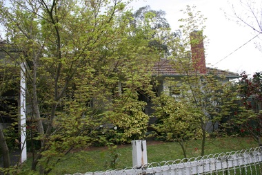 Photograph - 11 Kinloch Avenue, Mont Albert, The Street Where You Live Project