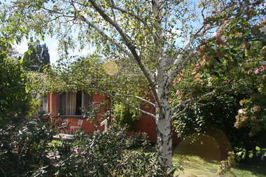 Photograph - 14 Hotham Street, Mont Albert, On The Street Where You Live Project