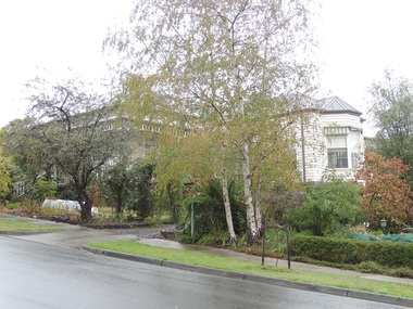 Photograph - 15 Loch Street, Surrey Hills, The Street Where You Live Project