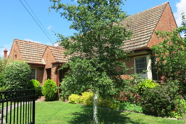 Photograph - 15 St James Avenue, Mont Albert, The Street Where You Live Project