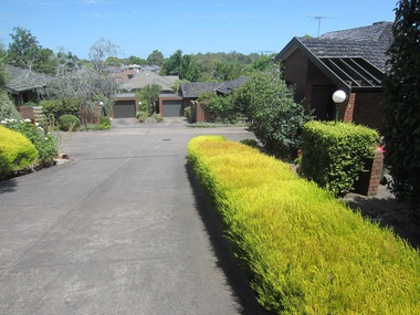 Photograph - 40 Shepherd Street, Surrey Hills, The Street Where You Live Project