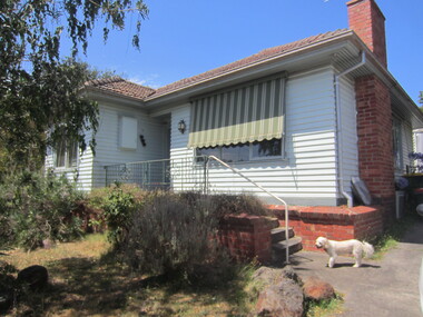 Photograph - 20 Oak Street, Surrey Hills, On The Street Where You Live Project