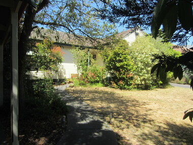 Photograph - 22 Oak Street, Surrey Hills, On The Street Where You Live Project