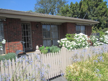 Photograph - 24 Oak Street, Surrey Hills, On The Street Where You Live Project