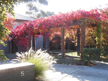 Photograph - 5 Meldreth Street, Surrey Hills, On The Street Where You Live Project