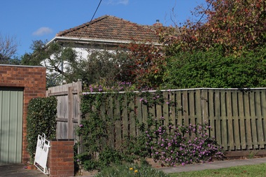 Photograph - 20 Pine Street, Surrey Hills, On The Street Where You Live Project