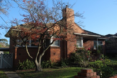 Photograph - 37 Pine Street, Surrey Hills, On The Street Where You Live Project