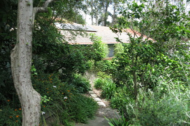 Photograph - 14 Varzin Avenue, Surrey Hills, On The Street Where You Live Project