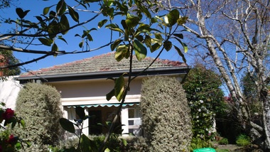 Photograph - 58 Victoria Crescent, Mont Albert, The Street Where You Live Project